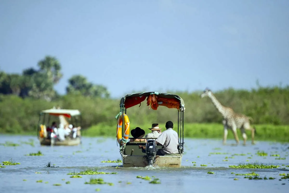 Boat safari on the Rufiji River with a giraffe on the bank